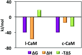TM Parameters of l- and c-CaM